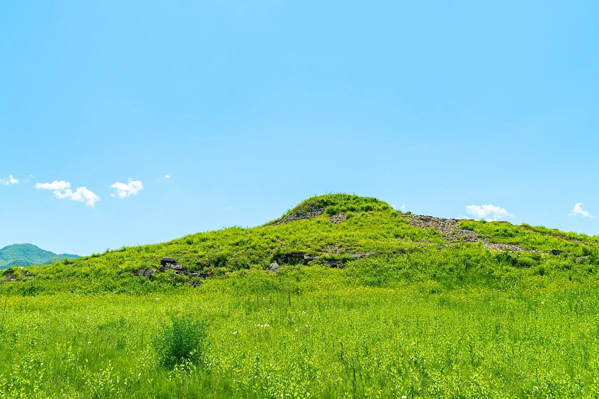 %EA%B4%91%EA%B0%9C%ED%86%A0%EB%8C%80%EC%99%95%EB%A6%89_%281%29.jpg?type=w1200