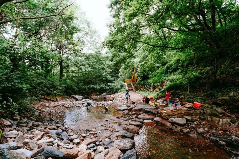 %ED%81%AC%EA%B8%B0%EB%B3%80%ED%99%98%EB%AC%BC%EC%86%8C%EB%A6%AC%EC%83%9D%ED%83%9C%EC%88%B2_(6).jpg?type=w966