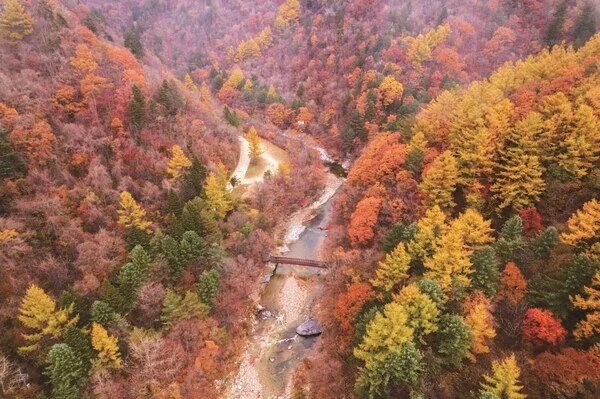 %EC%98%A4%EB%8C%80%EC%82%B0%EC%84%A0%EC%9E%AC%EA%B8%B8.jpg?type=w1200