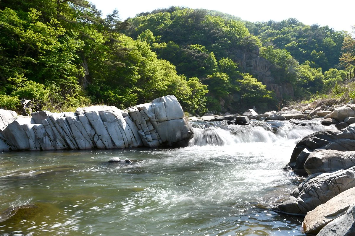 %EC%A0%9C1%EA%B2%BD_%EB%9D%BC%EC%A0%9C%ED%86%B5%EB%AC%B8_%EC%98%86%EC%9D%84_%ED%9D%90%EB%A5%B4%EB%8A%94_%EA%B0%95.JPG?type=w1200