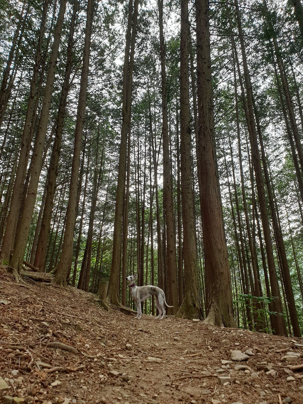 20190530_135330.jpg?type=w1200