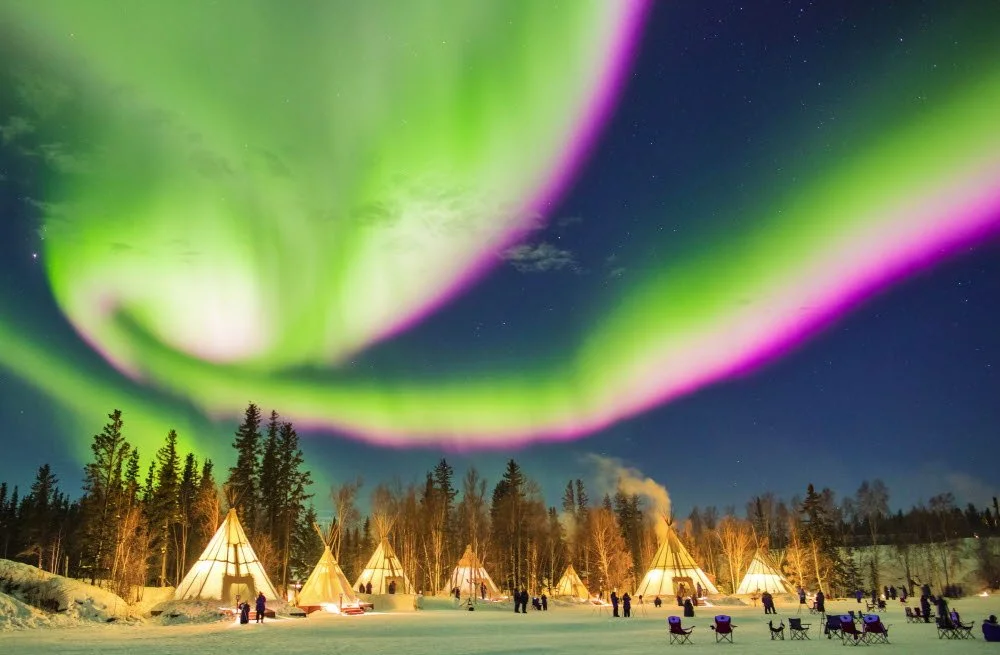 03_%EC%98%A4%EB%A1%9C%EB%9D%BC%EB%B9%8C%EB%A6%AC%EC%A7%80_%C2%A9KWON%2C_O_CHUL.jpeg?type=w1200