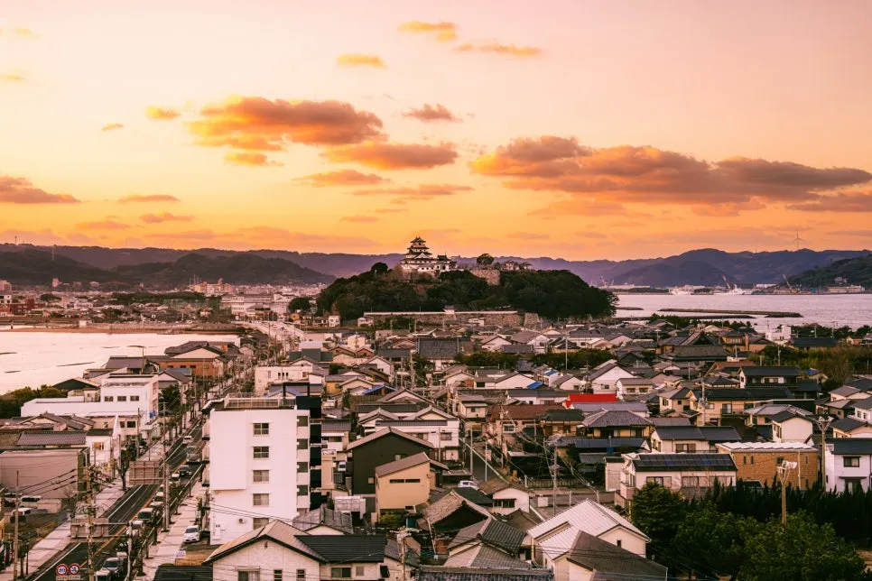 20250115-DSC05167-%ED%96%A5%EC%83%81%EB%90%A8-%EB%85%B8%EC%9D%B4%EC%A6%88_%EA%B0%90%EC%86%8C.jpg?type=w966