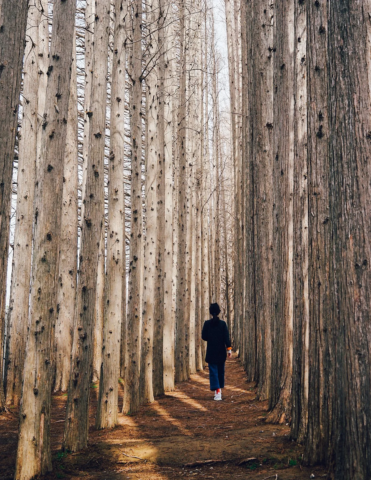 %EC%95%84%EA%B0%80%ED%8E%98_%EC%A0%95%EC%96%91%EC%9B%90_%285%29.jpg?type=w1200