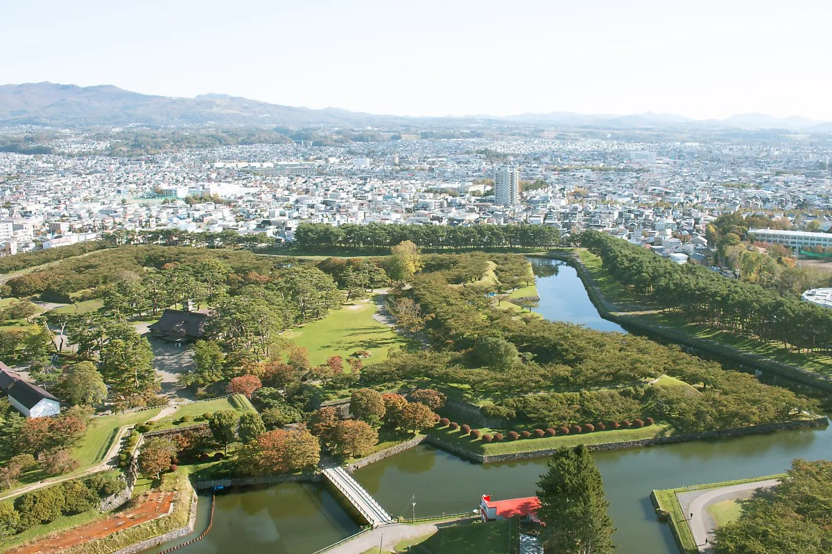 %ED%95%98%EC%BD%94%EB%8B%A4%ED%85%8C_%EA%B3%A0%EB%A3%8C%EC%B9%B4%EC%BF%A0_%EC%A0%84%EB%A7%9D%EB%8C%80_%281%29.jpg?type=w1200