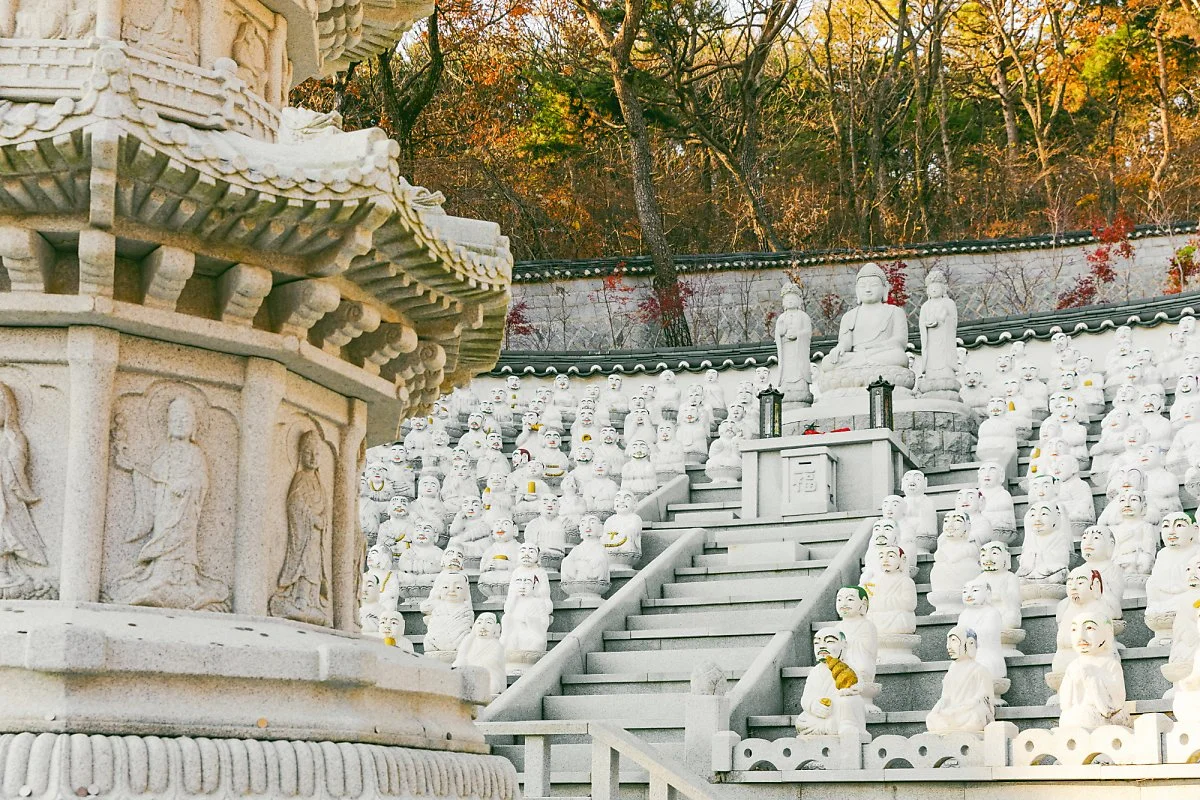 %EB%B3%B4%EB%AC%B8%EC%82%AC%2814%29.jpg?type=w1200