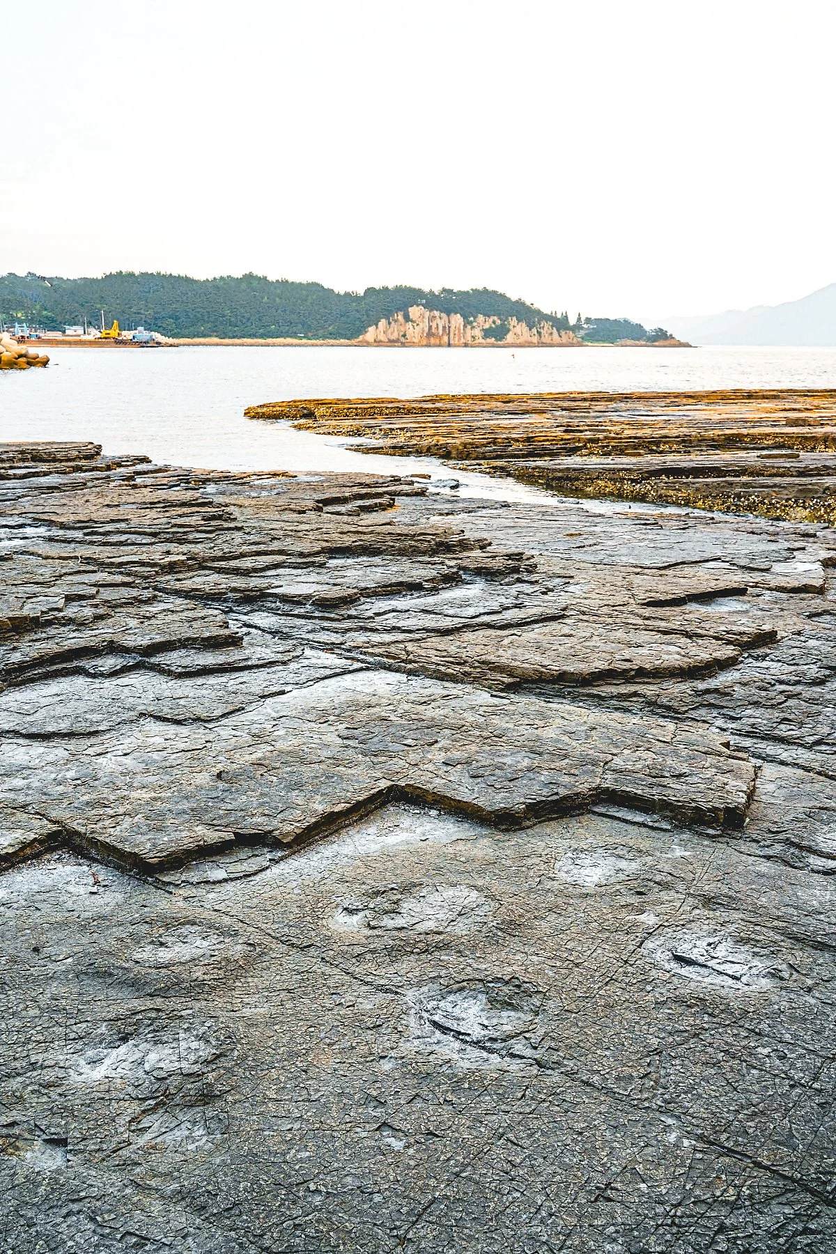 %EA%B3%B5%EB%A3%A1_%EB%B0%9C%EC%9E%90%EA%B5%AD_%ED%99%94%EC%84%9D_5.jpg?type=w1200