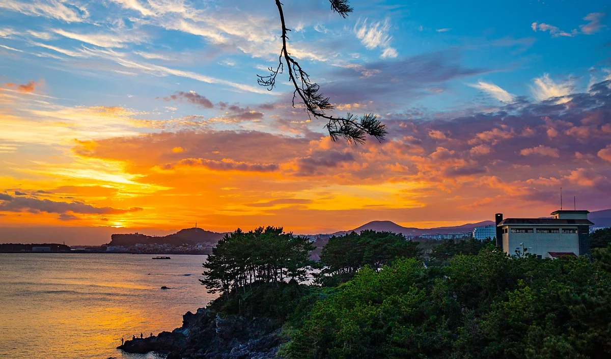 d_%EC%86%8C%EC%B2%9C%EC%A7%80_2.jpg?type=w1200