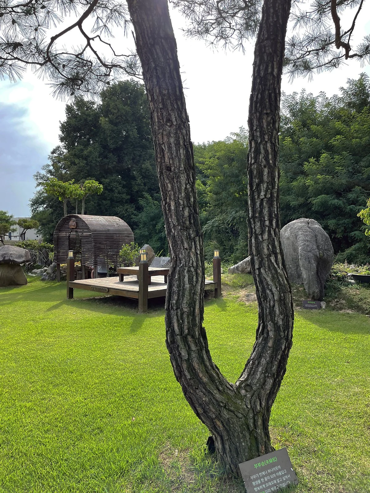 %EB%8D%94%EB%B8%94%EB%9F%AD_%288%29.JPG?type=w1200