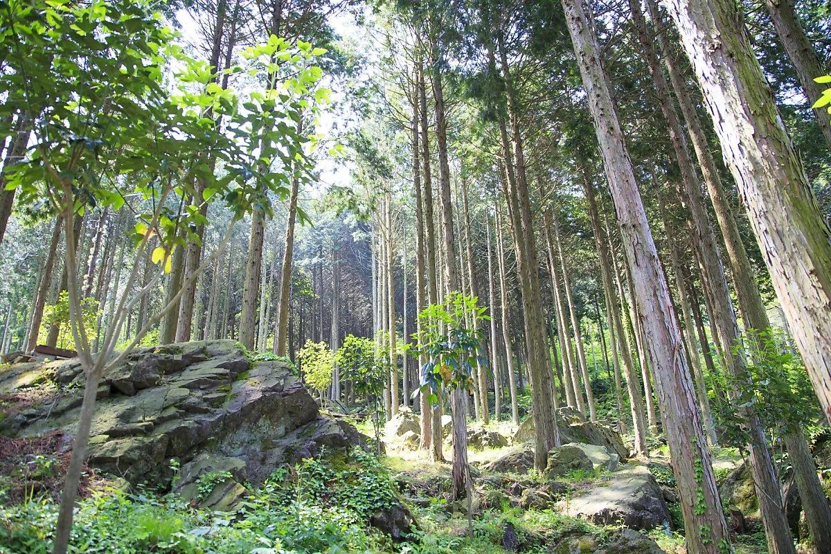 %EC%9A%B0%EB%93%9C%EB%9E%9C%EB%93%9C_%EA%B9%80%EB%8F%84%ED%98%95_1.JPG?type=w1200