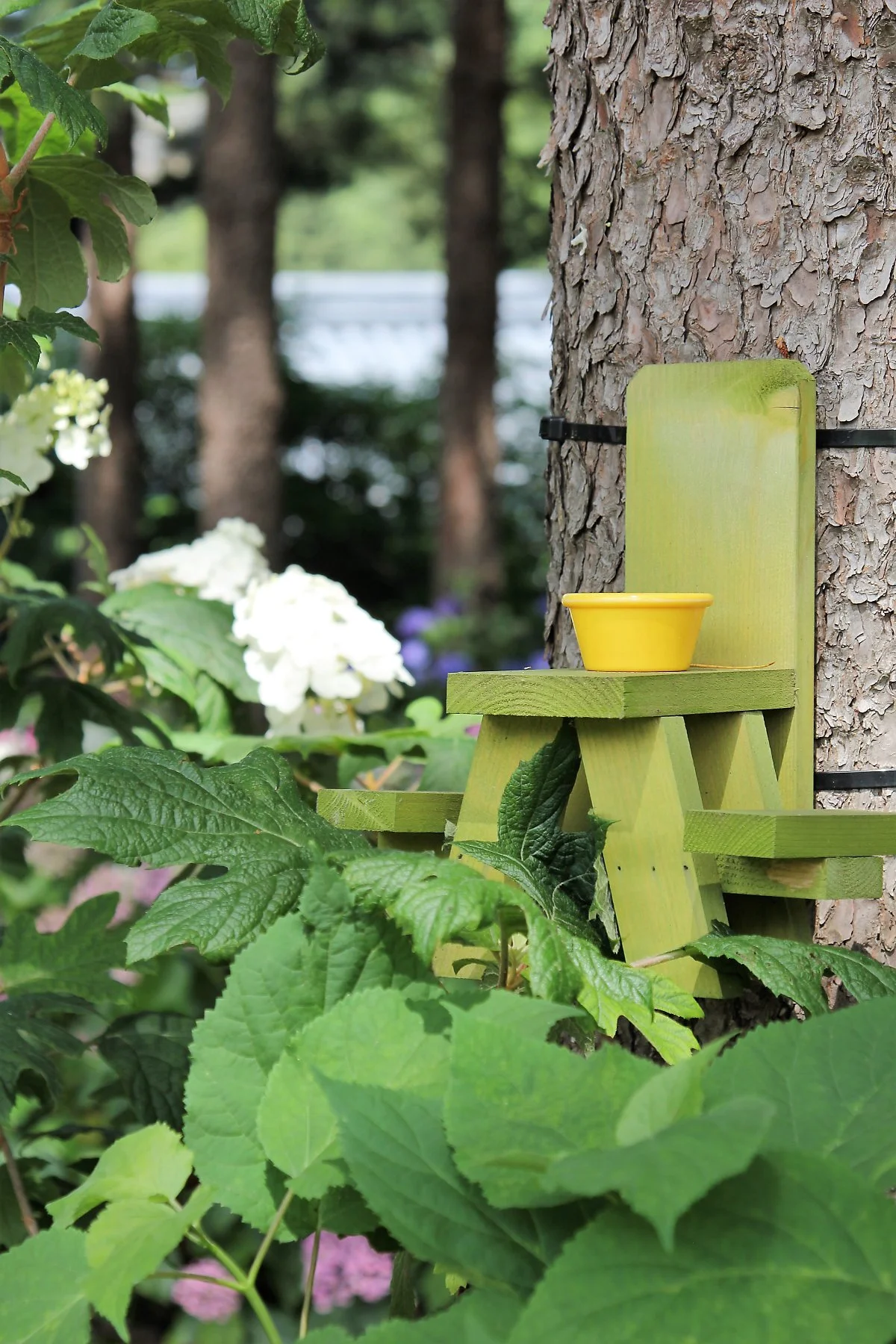 02%EC%95%84%EC%B9%A8%EA%B3%A0%EC%9A%94%EC%88%98%EB%AA%A9%EC%9B%90_%283%29.JPG?type=w1200