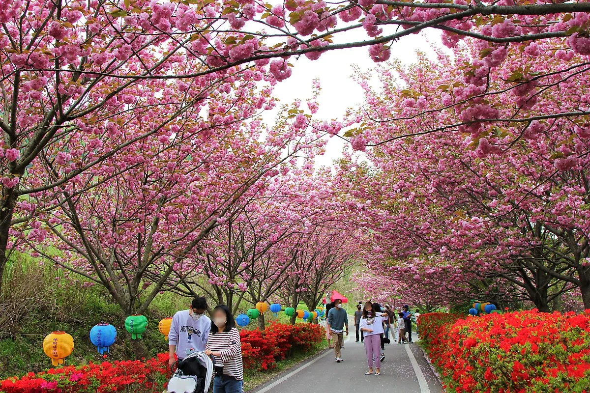 image_7618121821651127239758.jpg?type=w1200