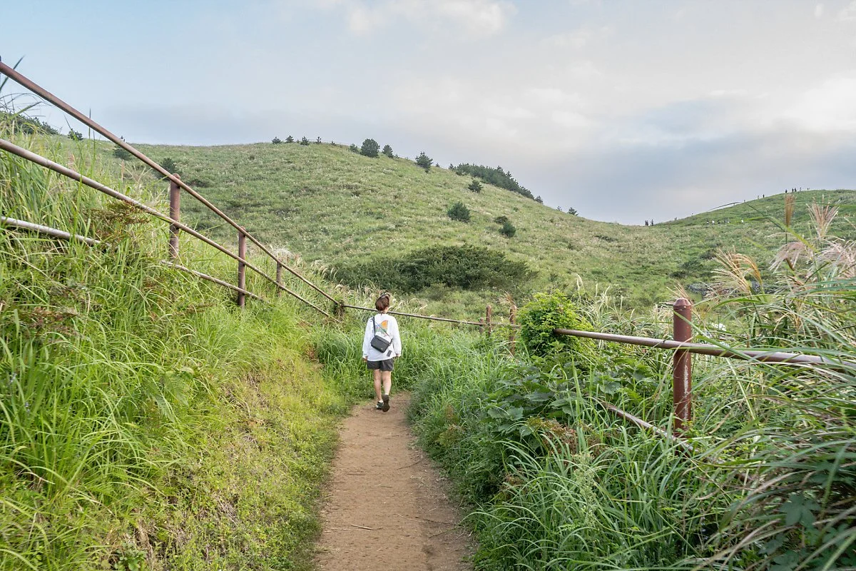 %EC%9A%A9%EB%88%88%EC%9D%B4%EC%98%A4%EB%A6%84_%ED%83%90%EB%B0%A9%EB%A1%9C_%284%29.jpg?type=w1200