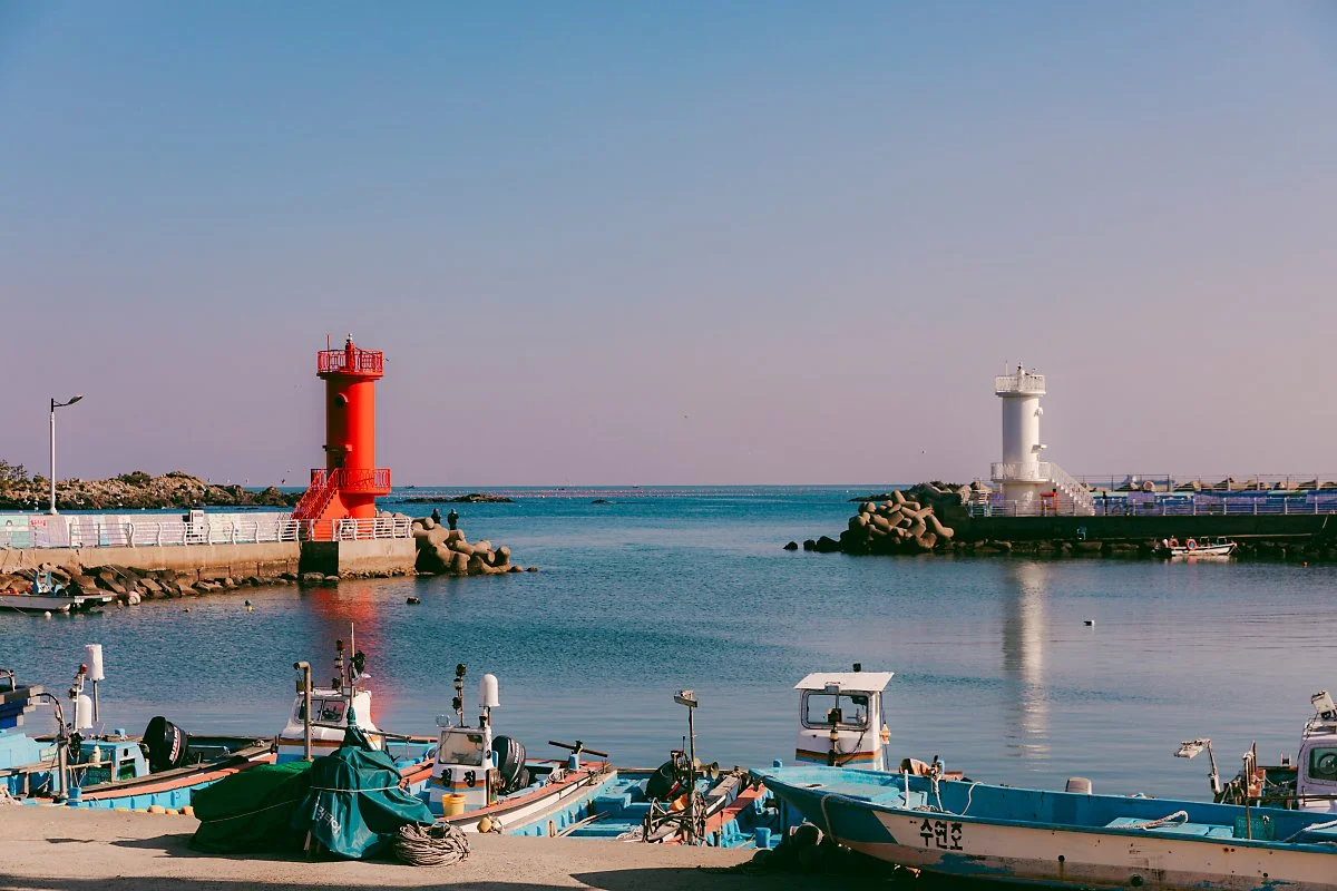 d_%EC%86%A1%EC%A0%95%ED%95%AD.jpg?type=w1200