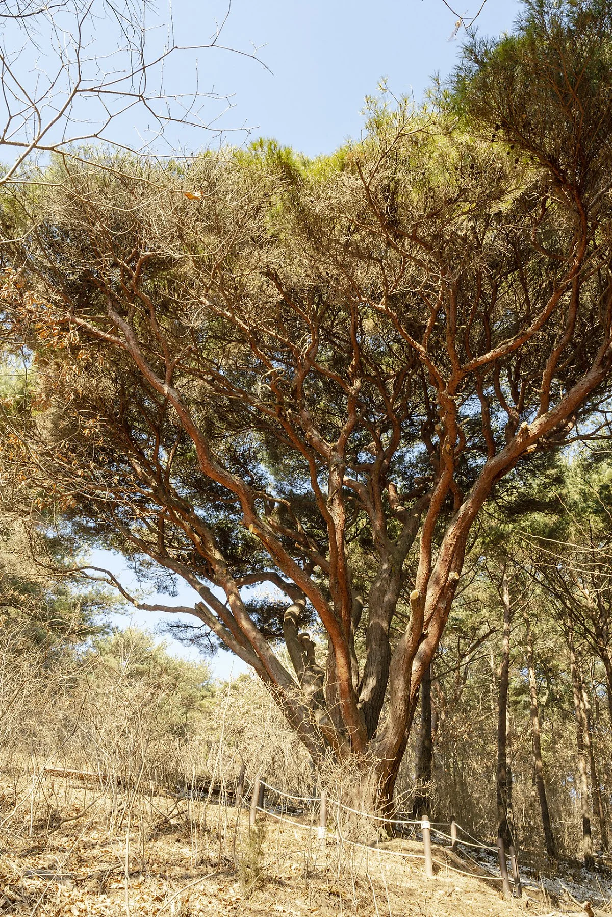 %EC%9B%85%EB%8F%84%EB%B0%98%EC%86%A1_%281%29.jpg?type=w1200