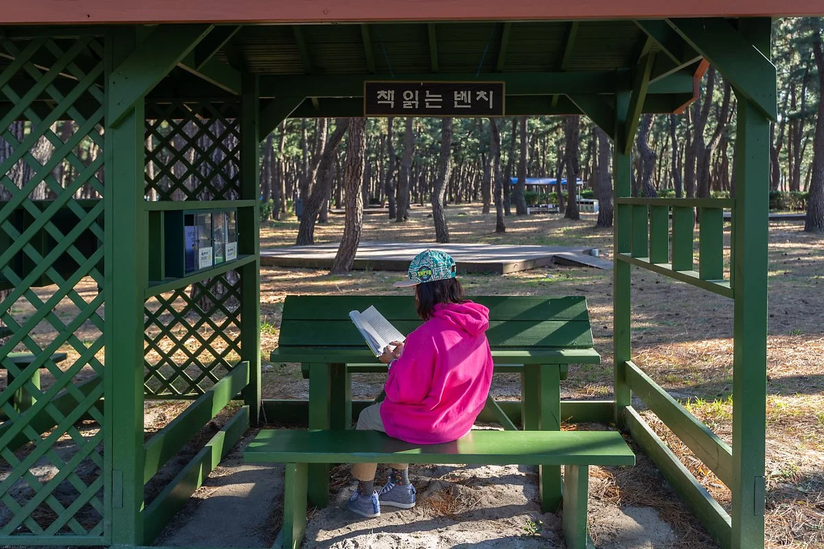 %EC%B1%85_%EC%9D%BD%EB%8A%94_%EB%B2%A4%EC%B9%98.jpg?type=w1200