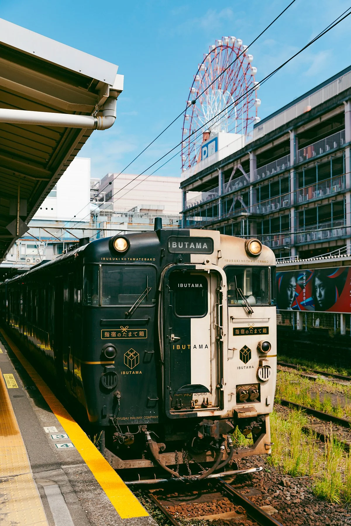 %EA%B0%80%EA%B3%A0%EC%8B%9C%EB%A7%88_%EA%B0%80%EA%B3%A0%EC%8B%9C%EB%A7%88%EC%B6%94%EC%98%A4_3.jpg?type=w1200