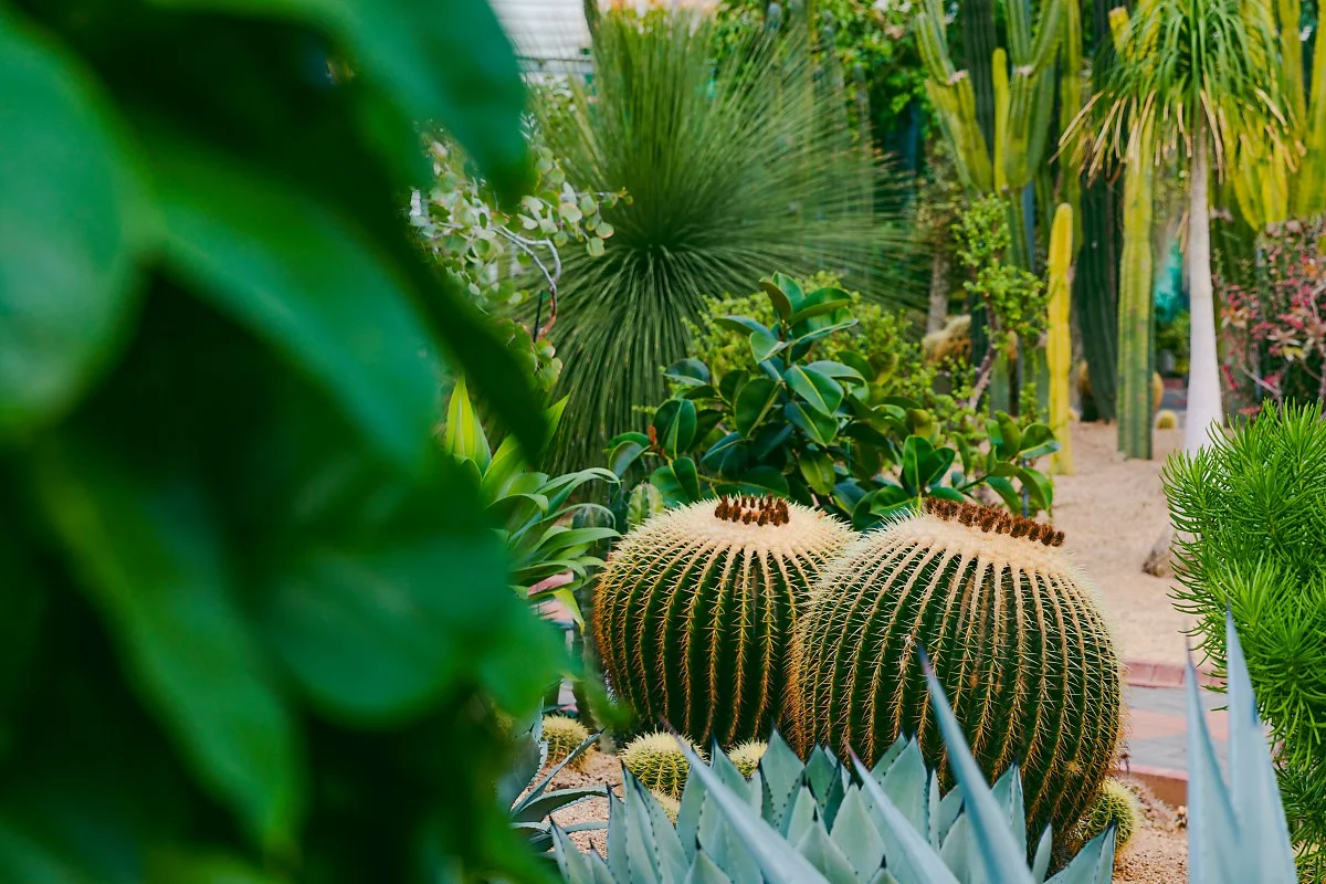 %EA%B3%A0%EC%96%91_%EA%B0%80%EC%99%80%EC%A7%80%EB%B3%8D%EC%94%A8%EB%B0%95%EB%AC%BC%EA%B4%80%283%29.jpg?type=w1200