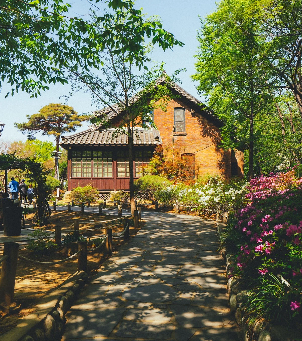 image_5353366181682384852801.jpg?type=w1200