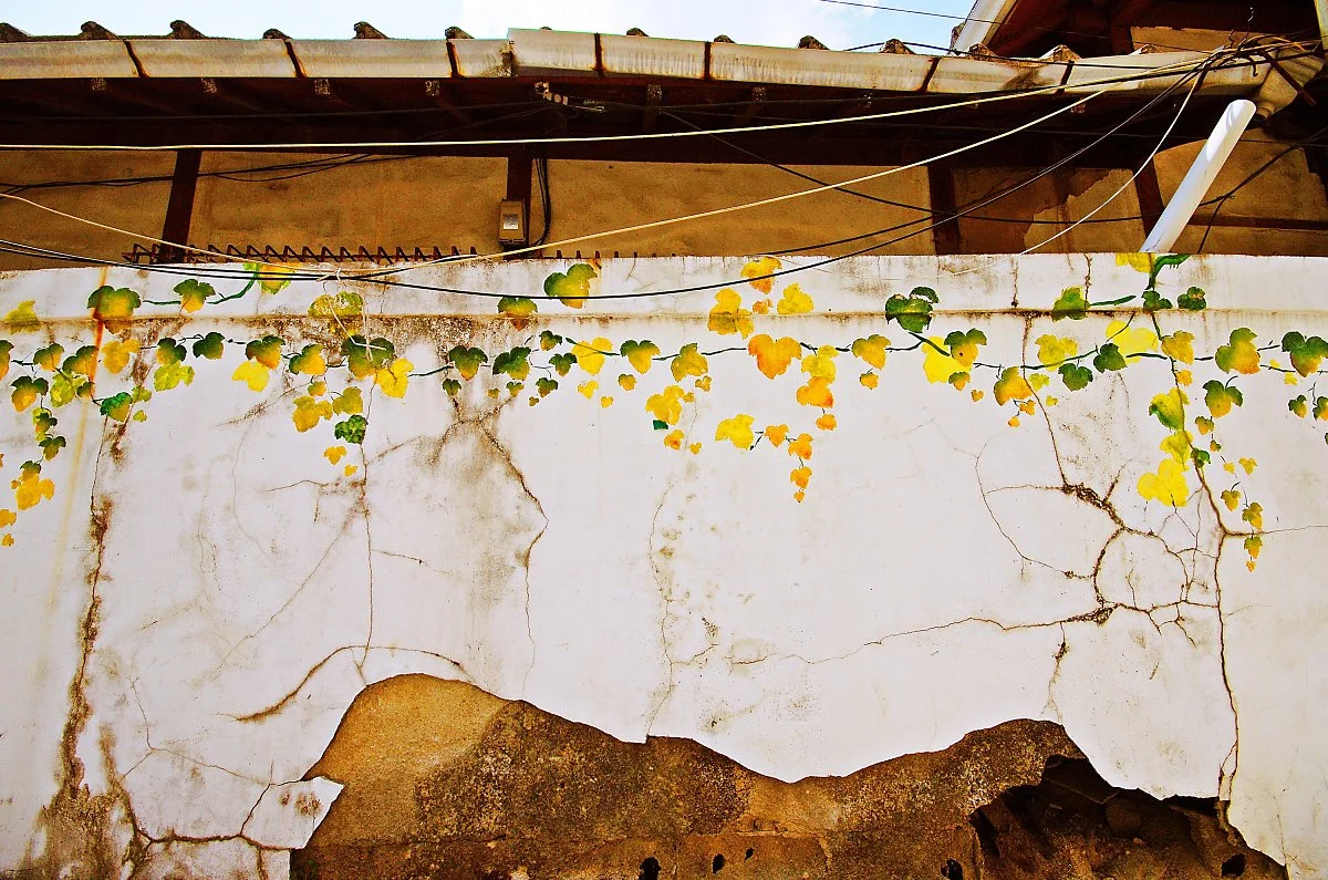 %EB%82%A8%EC%A3%BC%EB%8F%99_%EA%B3%A8%EB%AA%A9_%EB%8B%B4%EC%9F%81%EC%9D%B4_%EB%B2%BD%ED%99%94.JPG?type=w1200