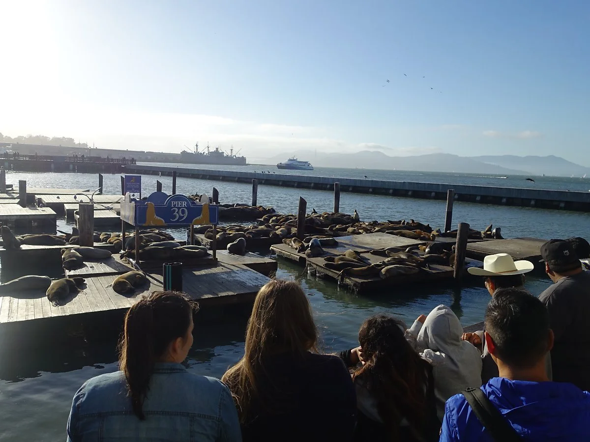 %EC%83%8C%ED%94%84%EB%9E%80%EC%8B%9C%EC%8A%A4%EC%BD%94_%ED%94%BC%EC%96%B439.JPG?type=w1200