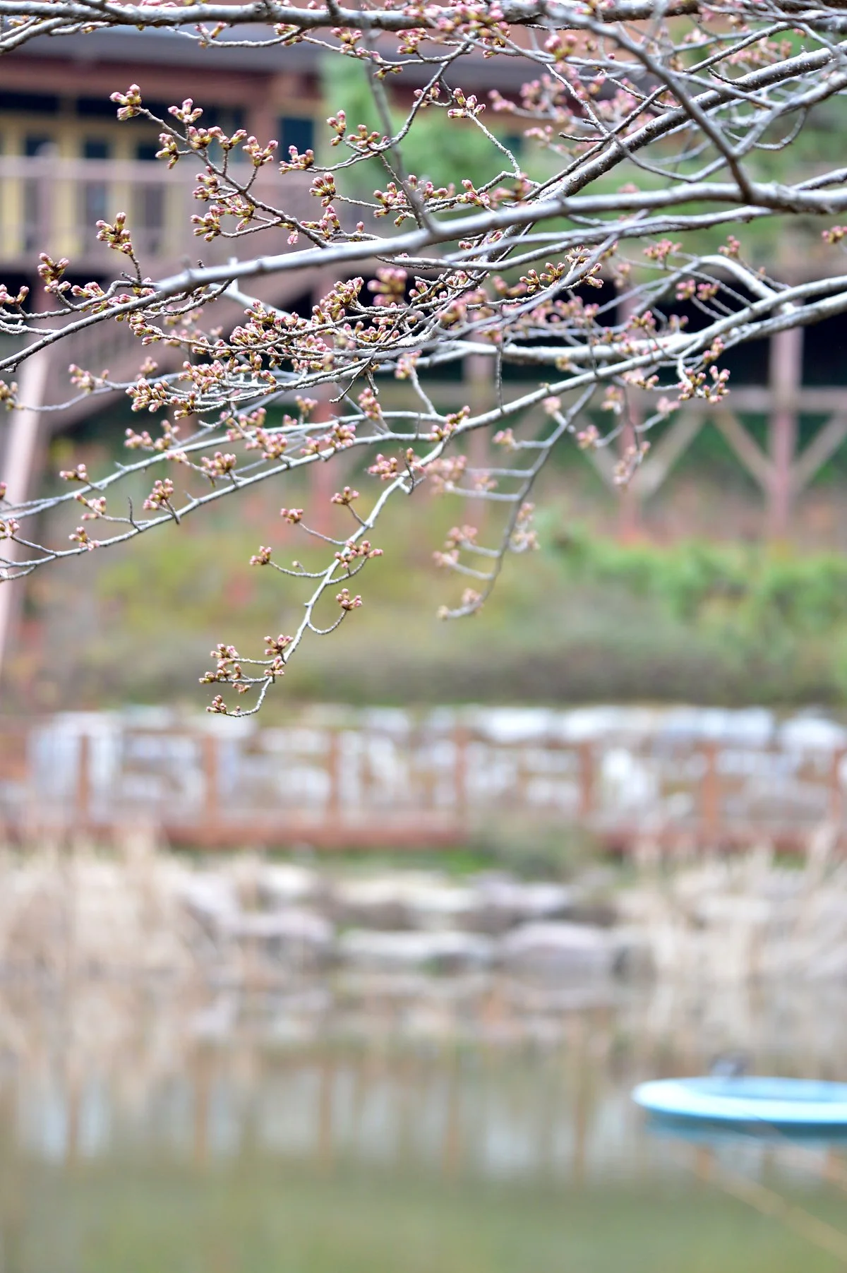 %EC%9B%80%EC%9D%B4_%ED%84%B0%EC%98%A4%EA%B8%B0_%EC%8B%9C%EC%9E%91%ED%95%98%EB%8A%94_%EC%B0%BD%EC%9B%90%EC%9D%98_%EB%B4%84.JPG?type=w1200