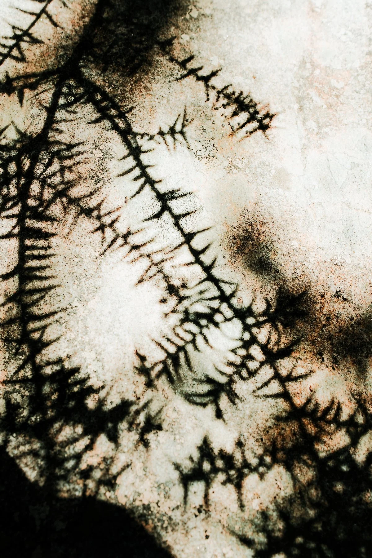 %EA%B7%B8%EB%9E%A8%ED%94%BC%EC%96%B8%EC%8A%A4_%ED%94%BC%ED%81%AC_%ED%8A%B8%EB%A0%88%EC%9D%BC_%288%29.jpg?type=w1200