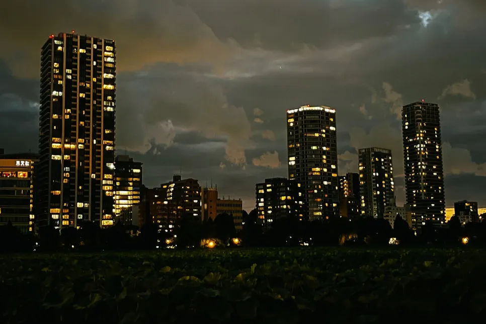 %EB%8F%84%EC%BF%84_11-22.jpg?type=w966