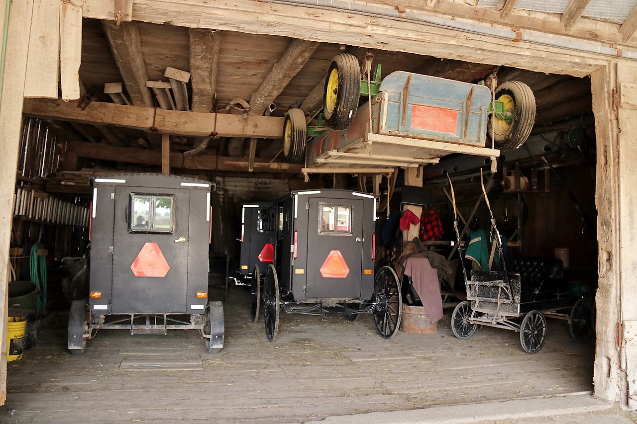 30. Buggy Barn.JPG