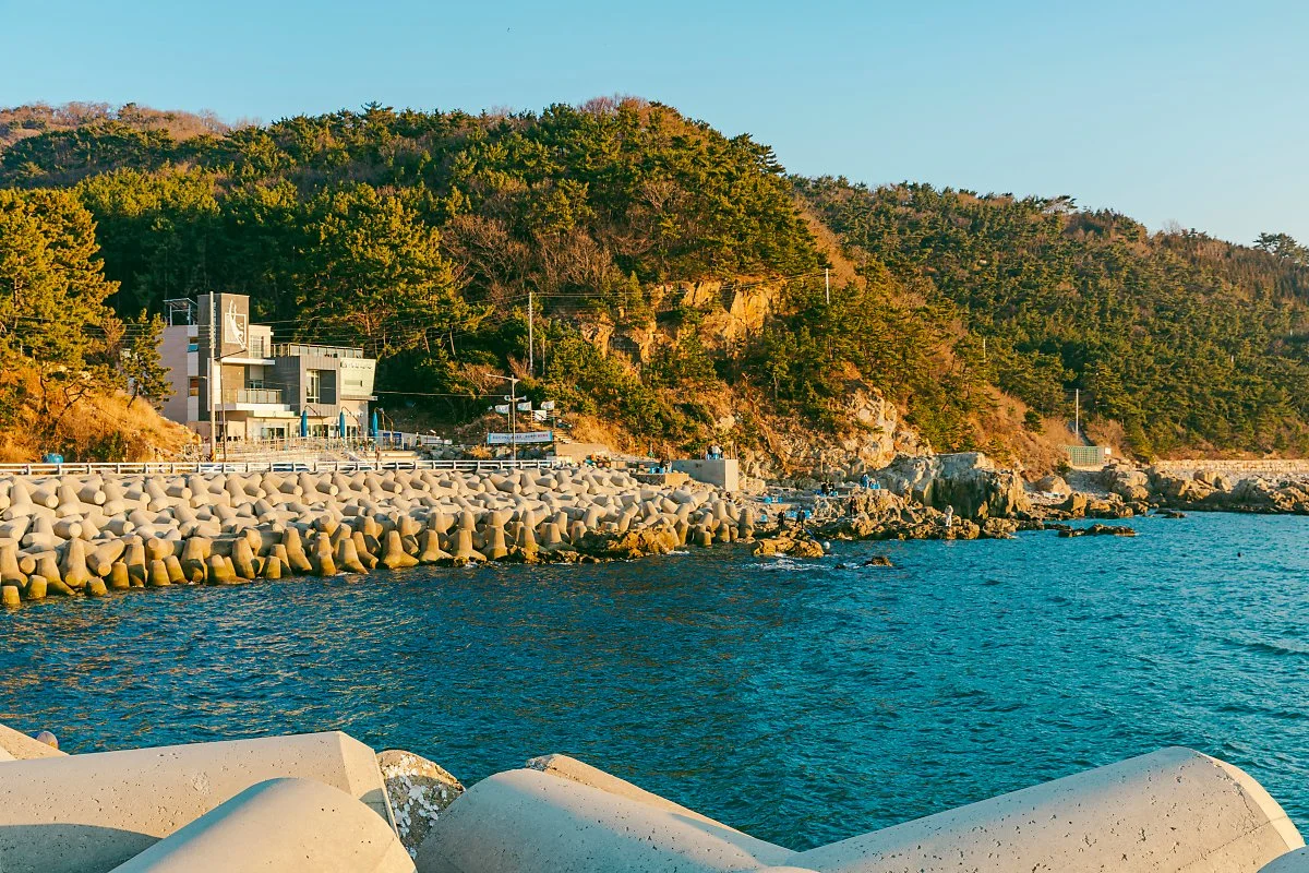 d_%EC%98%81%EB%8F%84%ED%95%B4%EB%85%80%EB%AC%B8%ED%99%94%EC%A0%84%EC%8B%9C%EA%B4%80_1.jpg?type=w1200