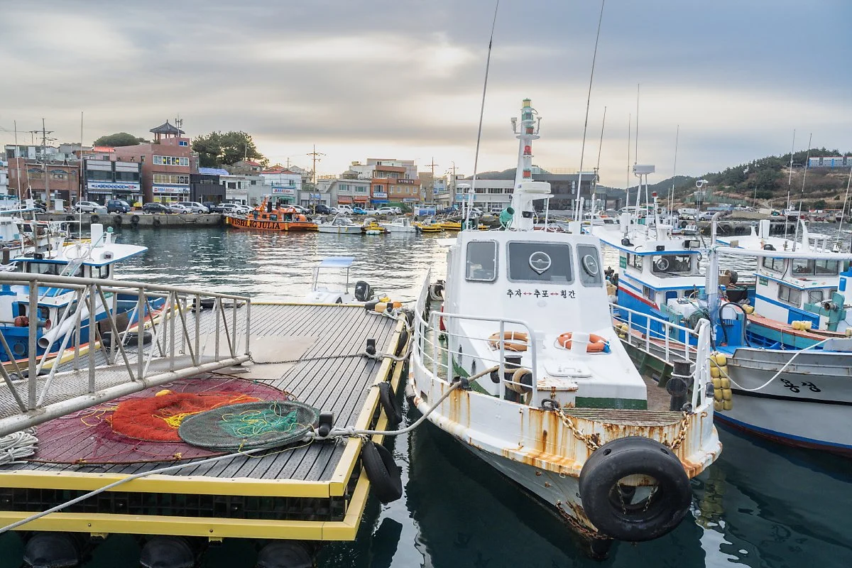 %ED%9A%A1%EA%B0%84%EB%8F%84%ED%96%89%EC%A0%95%EC%84%A0.jpg?type=w1200