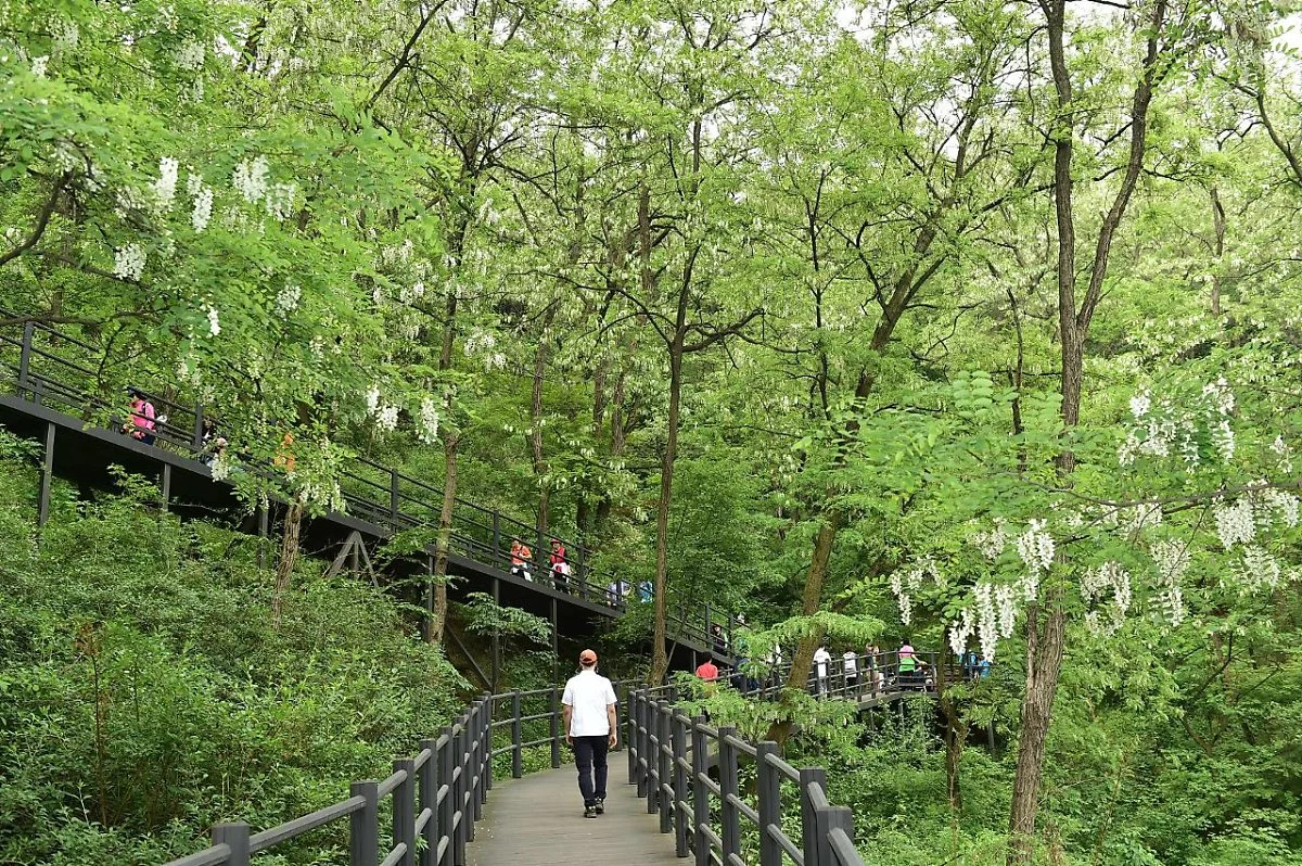 %EC%95%88%EC%82%B0%EC%9E%90%EB%9D%BD%EA%B8%B8_%283%29.jpg?type=w1200