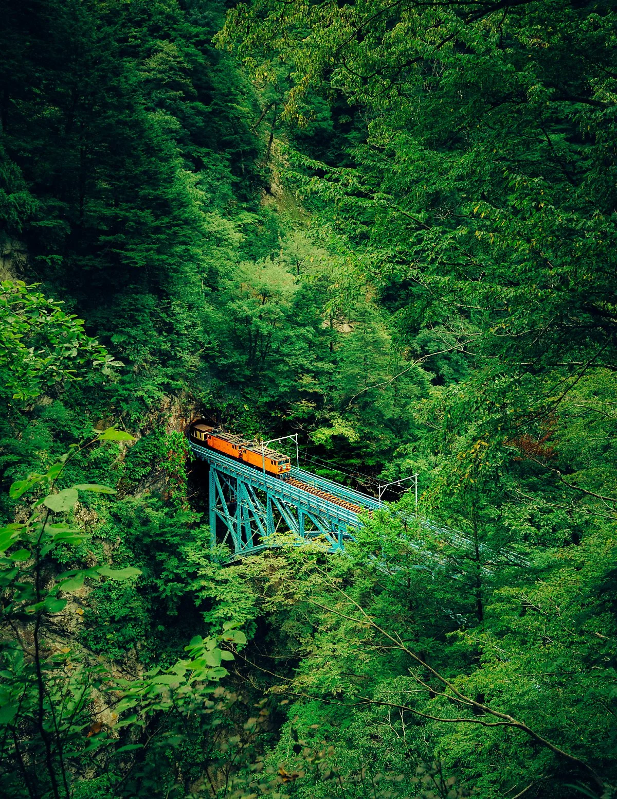 %EB%8F%84%EB%A1%AF%EC%BD%94_%EC%97%B4%EC%B0%A8-6.jpg?type=w1200