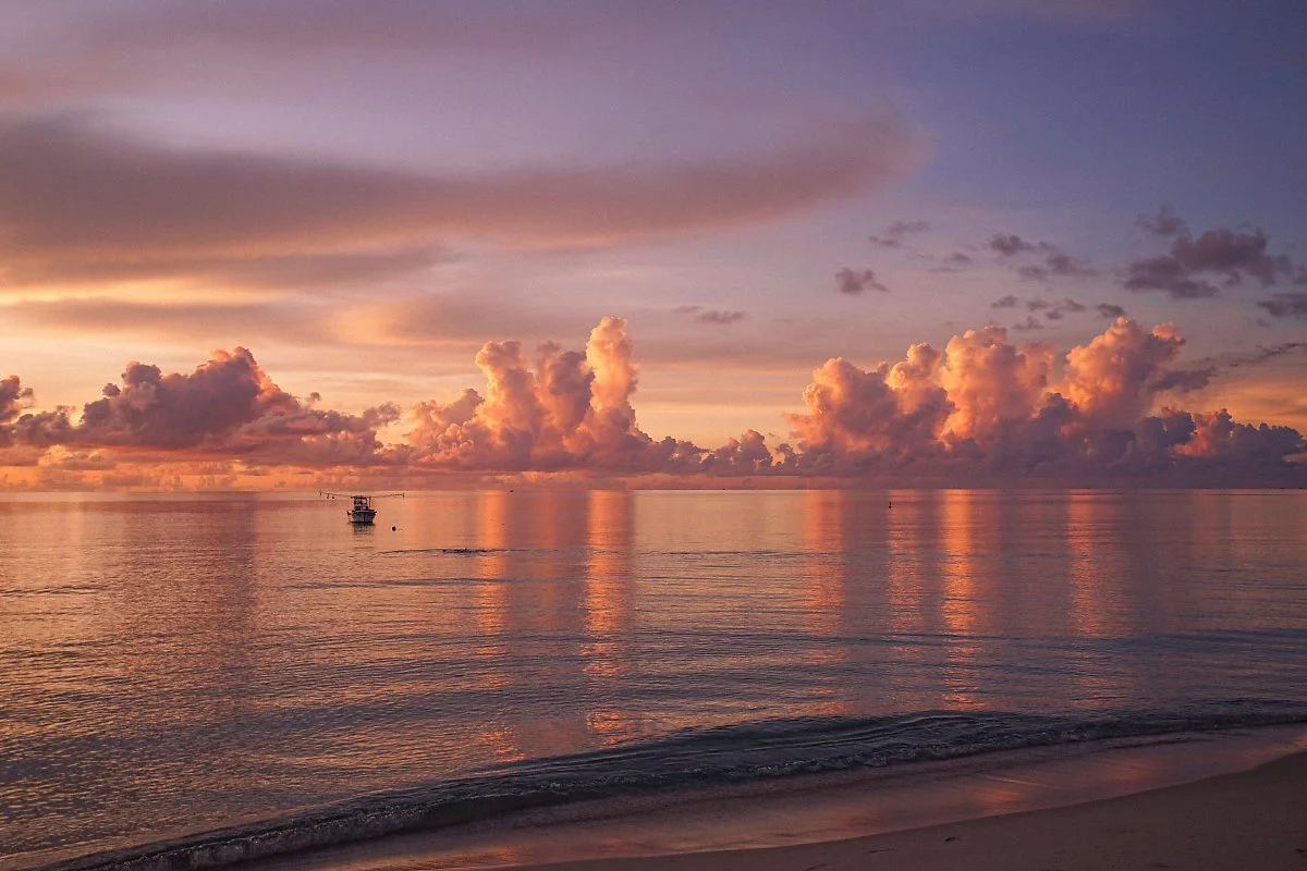 %EC%B0%A8%EC%9B%BD%EB%B9%84%EC%B9%98_%EC%9D%BC%EC%B6%9C.jpg?type=w1200