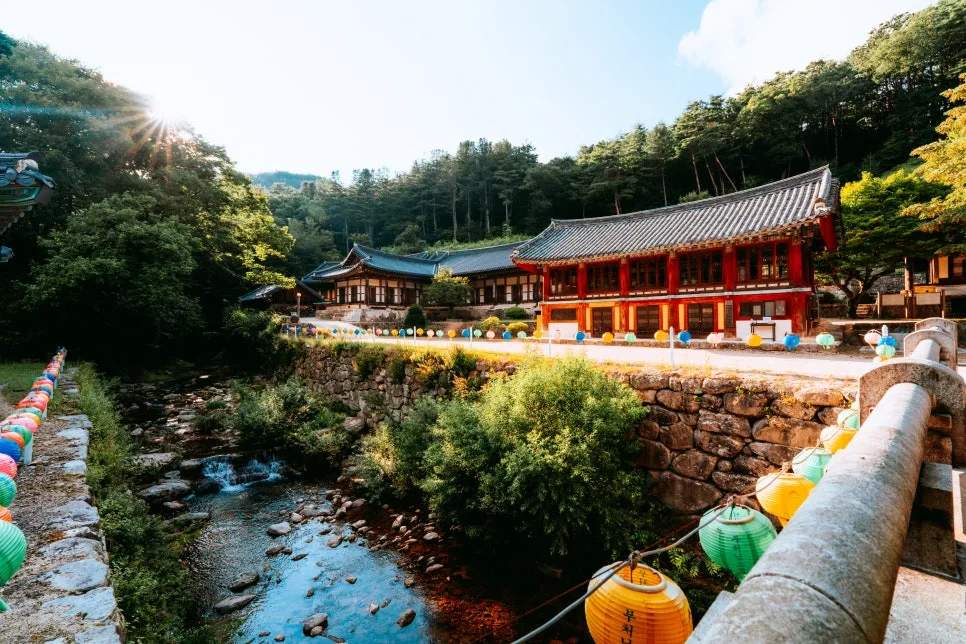 %ED%81%AC%EA%B8%B0%EB%B3%80%ED%99%98%EC%B2%AD%EC%95%94%EC%82%AC_(7).jpg?type=w966