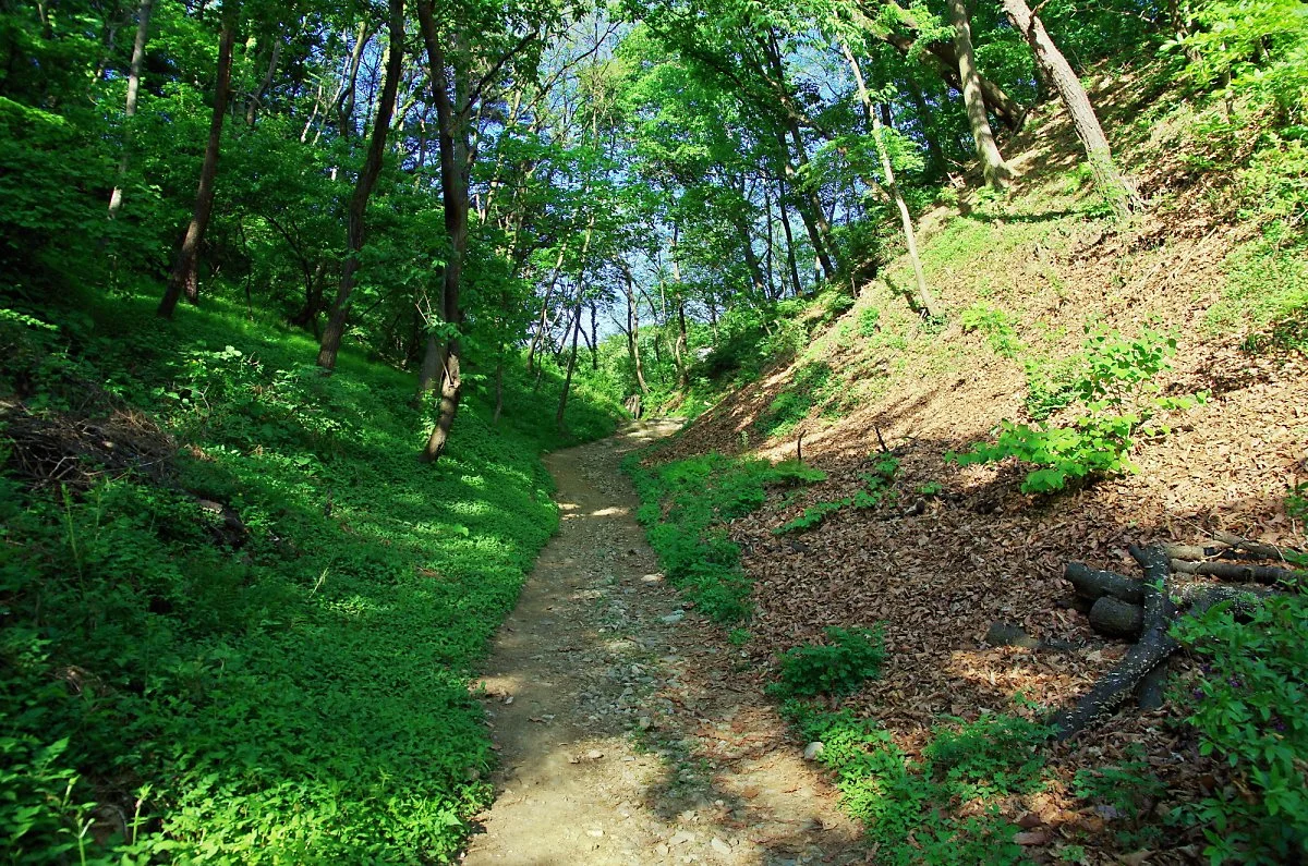 %EA%B2%83%EB%8C%80%EC%82%B0_%EC%83%81%EB%B4%89%EC%9E%AC_%EA%B3%A0%EA%B0%AF%EA%B8%B8.JPG?type=w1200