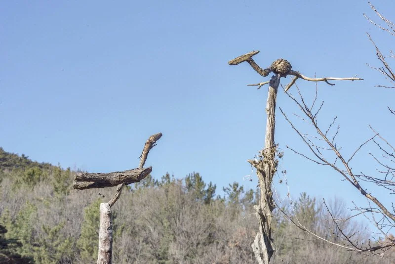 %EC%84%9C%EB%8F%99%EB%86%8D%EC%B4%8C%ED%85%8C%EB%A7%88%EA%B3%B5%EC%9B%90_%285%29.jpg?type=w1200