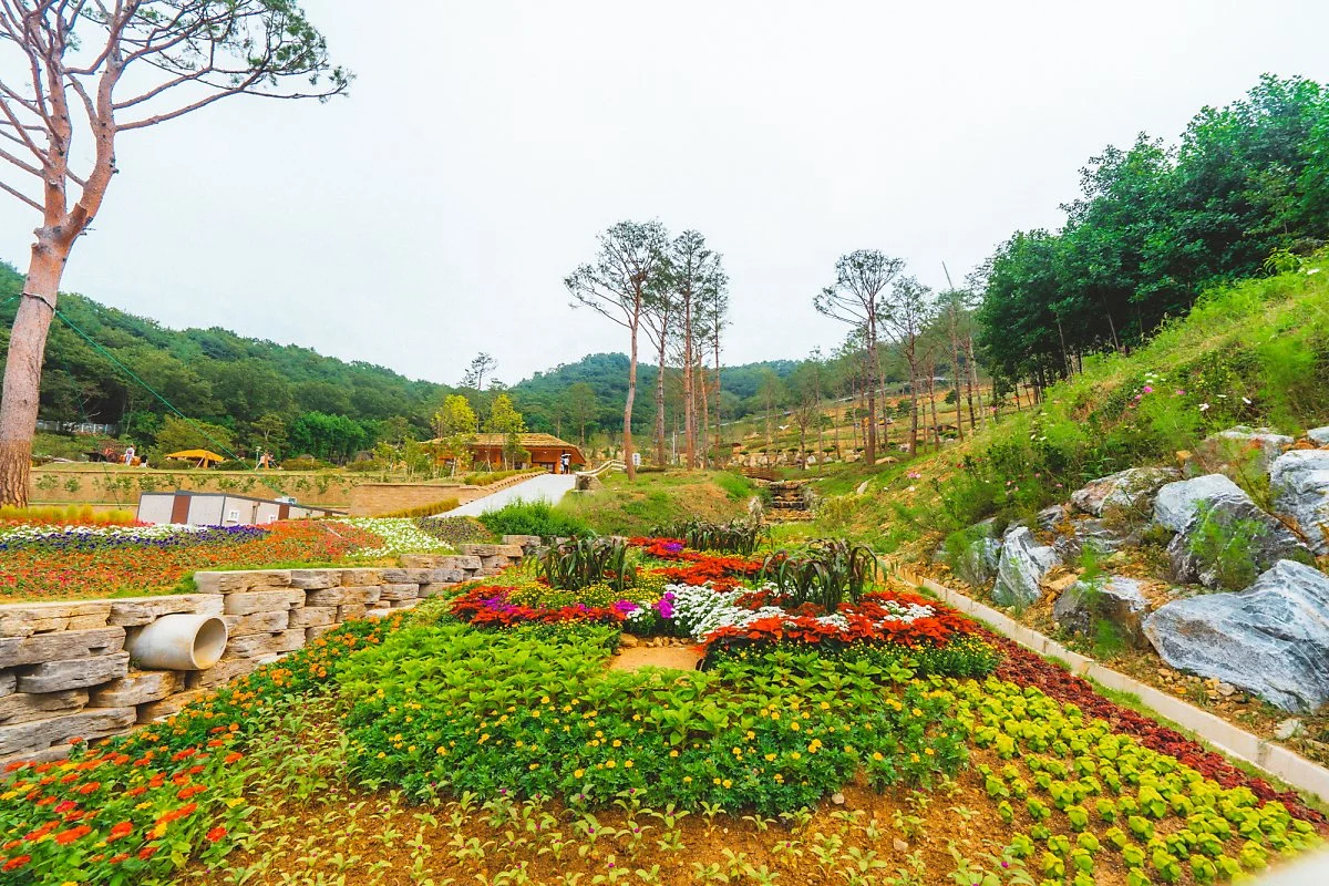 %EB%AA%A8%EB%85%B8%EB%A0%88%EC%9D%BC_%ED%99%94%EA%B0%9C%EC%A0%95%EC%9B%90_%286%29.jpg?type=w1200