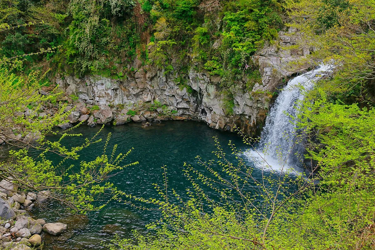 d_%EC%B2%9C%EC%A0%9C%EC%97%AD%ED%8F%AD%ED%8F%AC_3.JPG?type=w1200