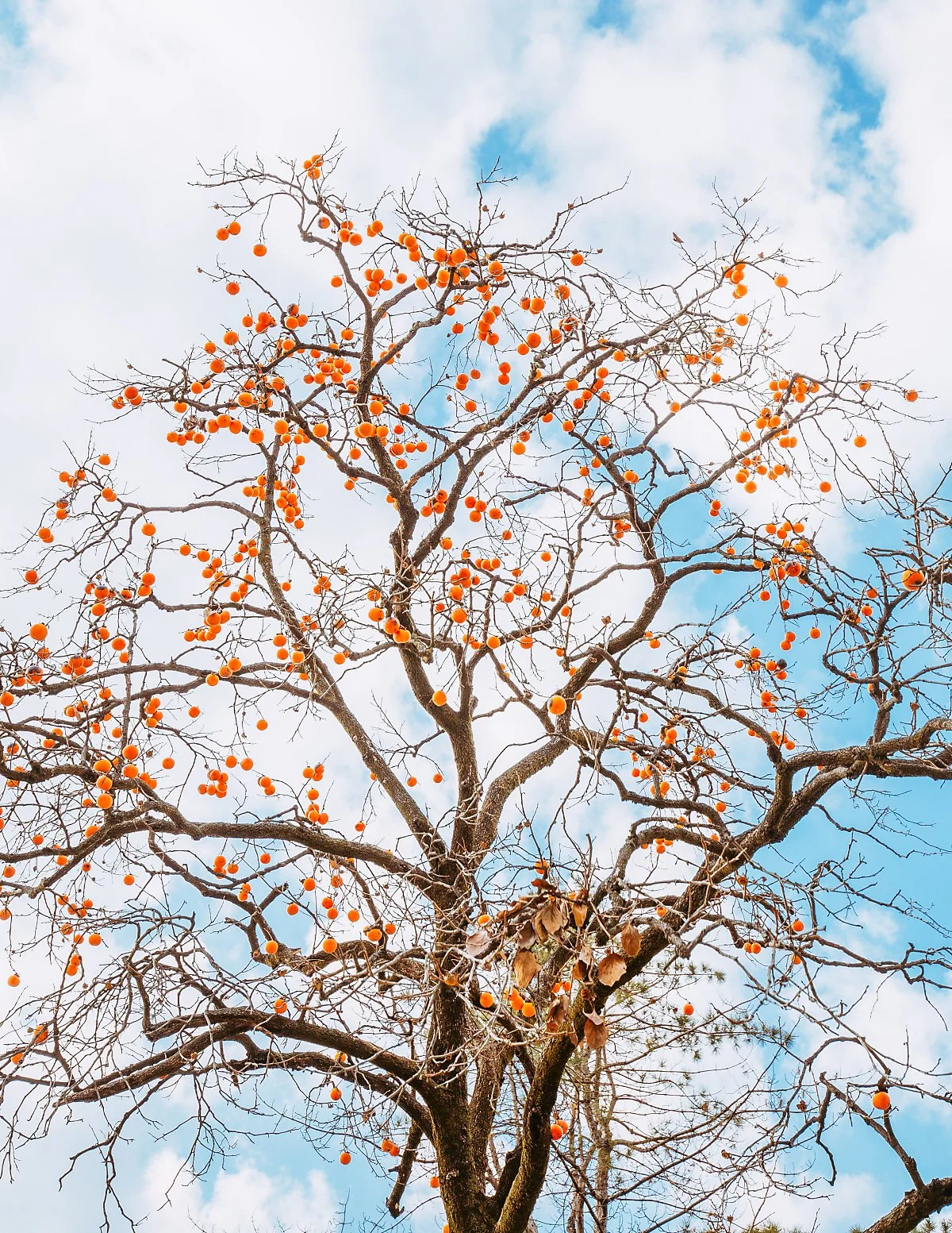 %EB%8F%99%EC%B6%98%EB%8B%B9_%283%29.jpg?type=w1200