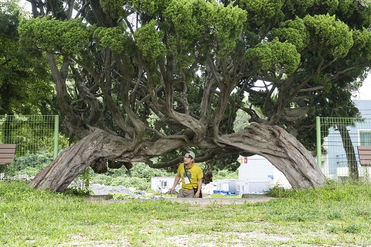 %EC%82%AC%EB%9E%91%EB%82%98%EB%AC%B4_%282%29.jpg?type=w1200