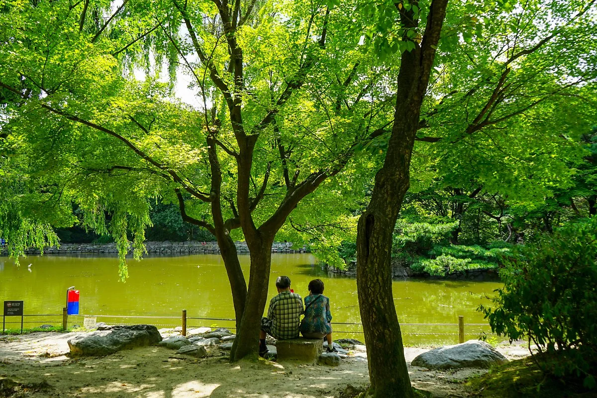 d_%EC%B0%BD%EA%B2%BD%EA%B6%81_3.JPG?type=w1200