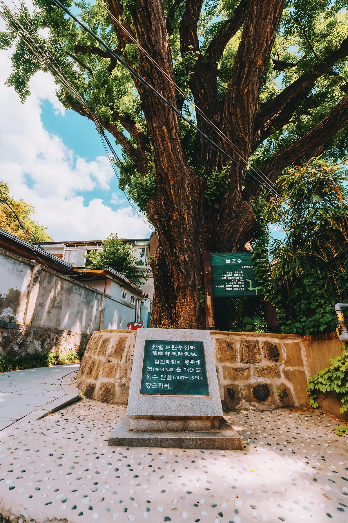 %ED%81%AC%EA%B8%B0%EB%B3%80%ED%99%98DSC02120.jpg?type=w1200