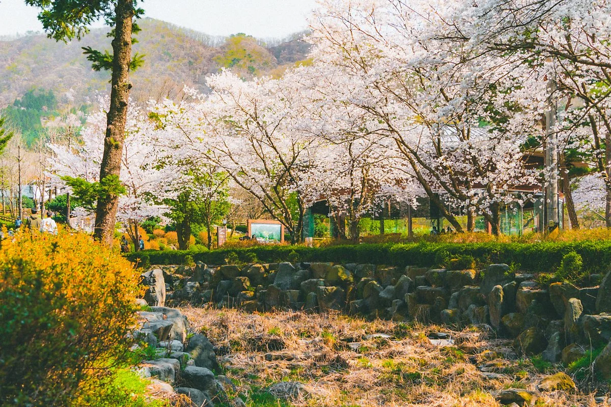 %EB%8C%80%EC%95%84%EC%88%98%EB%AA%A9%EC%9B%90_%288%29-%EC%88%98%EC%A0%95.jpg?type=w1200