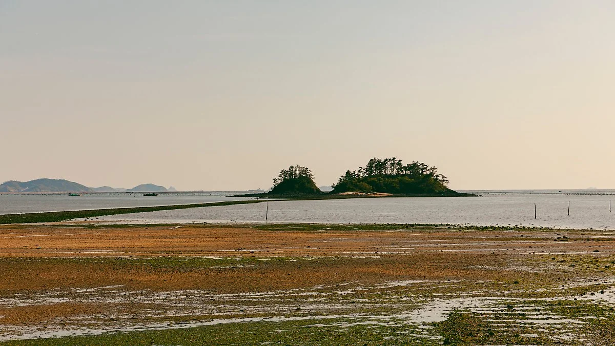 d_%EB%8C%80%EC%84%AC%EC%96%B4%EC%B4%8C%EB%B3%B5%ED%95%A9%EC%B2%B4%ED%97%98%EA%B3%B5%EC%9B%90.jpg?type=w1200