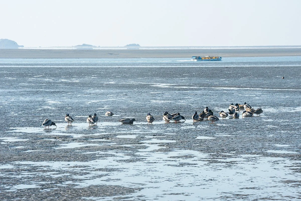 %EC%9E%A5%ED%95%AD%EC%8A%A4%EC%B9%B4%EC%9D%B4%EC%9B%8C%ED%81%AC_%289%29.jpg?type=w1200