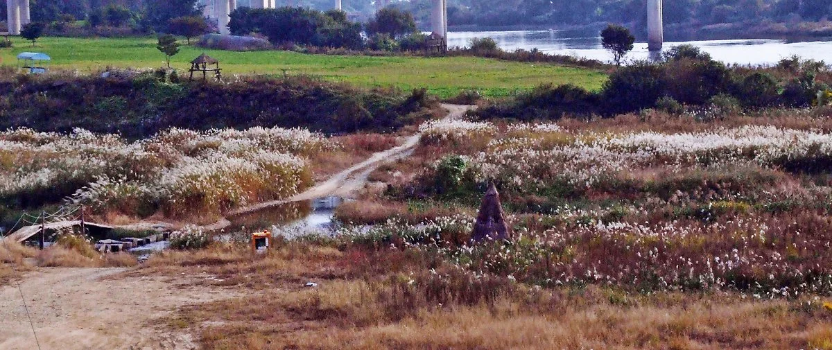 %EB%AA%A9%EA%B3%84%EB%82%98%EB%A3%A8%ED%84%B0_%EB%B6%80%EA%B7%BC_%ED%92%8D%EA%B2%BD._%EB%82%A8%ED%95%9C%EA%B0%95%EC%9C%BC%EB%A1%9C_%ED%9D%98%EB%9F%AC%EB%93%9C%EB%8A%94_%EC%98%81%EB%8D%95%EC%B2%9C_%EB%AC%BC%EC%A4%84%EA%B8%B0.JPG?type=w1200