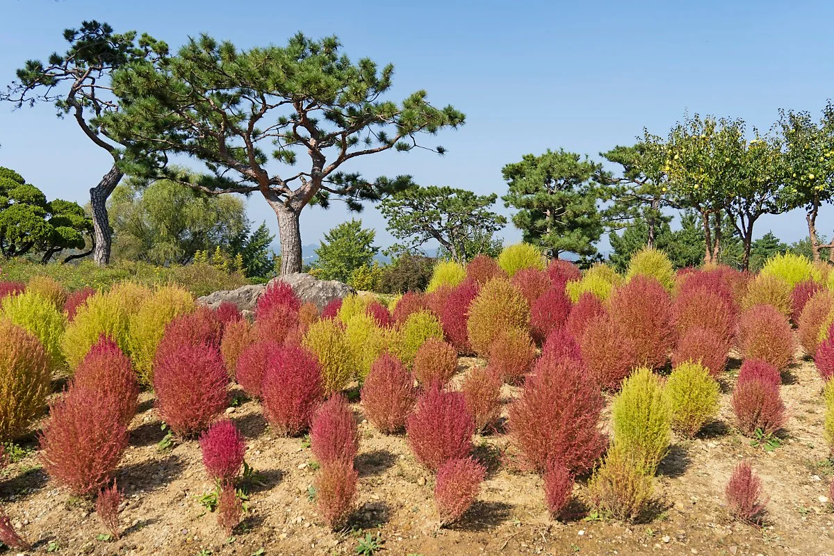 %EC%82%AC%EC%A7%846_%EB%8C%91%EC%8B%B8%EB%A6%AC.jpg?type=w1200