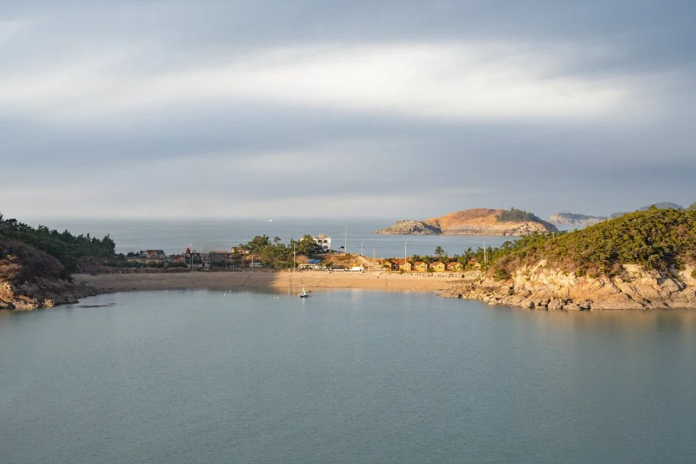 %EC%B9%98%EB%8F%84%EB%A6%AC%EB%82%A0%EB%A7%88%ED%86%B5.jpg?type=w1200