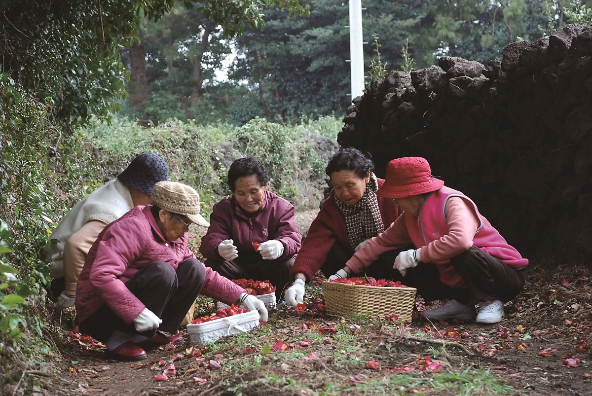 %EC%8B%A0%ED%9D%A5%EB%A6%AC__%281%29.JPG?type=w1200